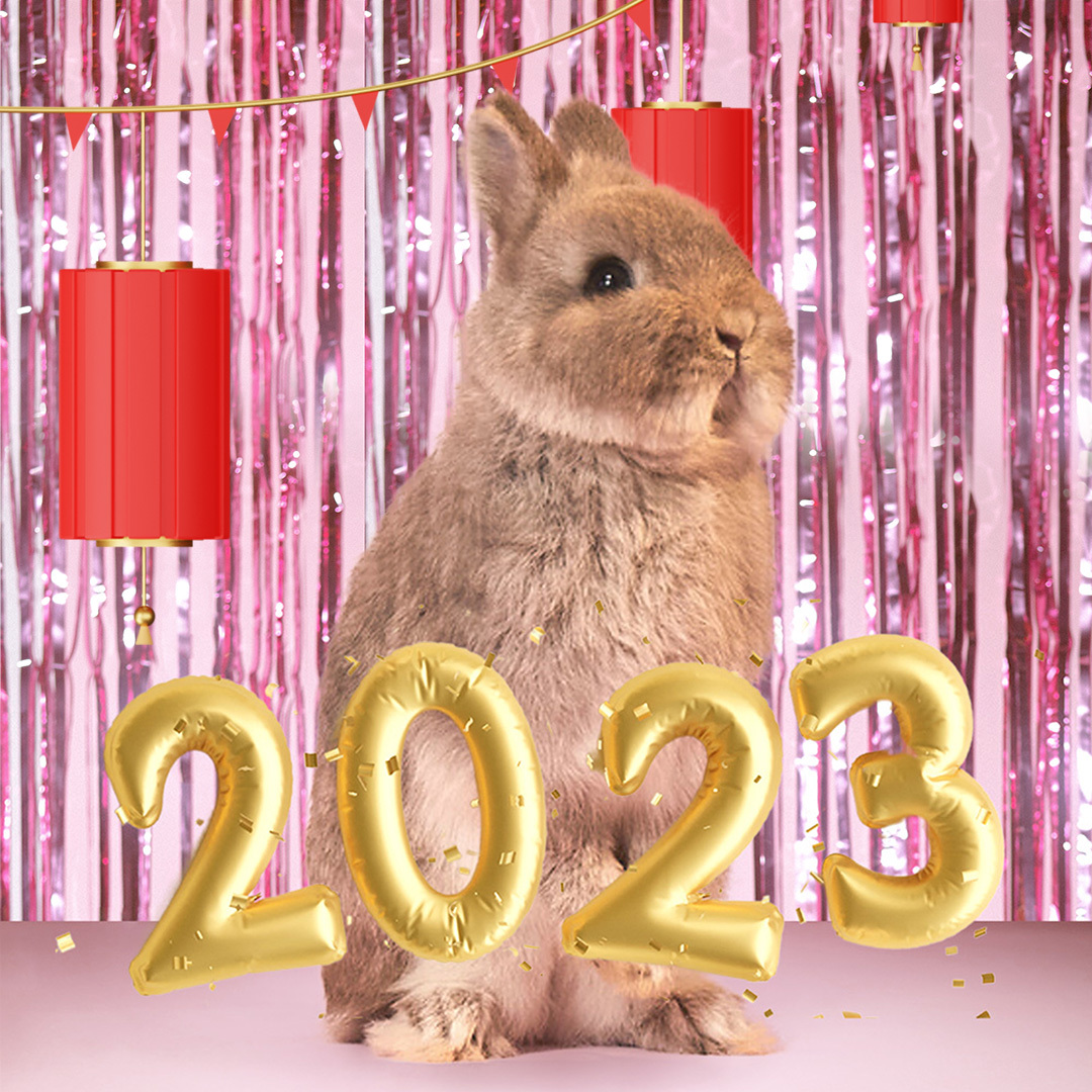 oneflowcom's tweet image. Happy Lunar New Year to everyone from all of us at Oneflow and Leif!

2023 is the year of the Rabbit, so he&apos;s especially excited about this one. 

#Oneflow #LunarNewYear