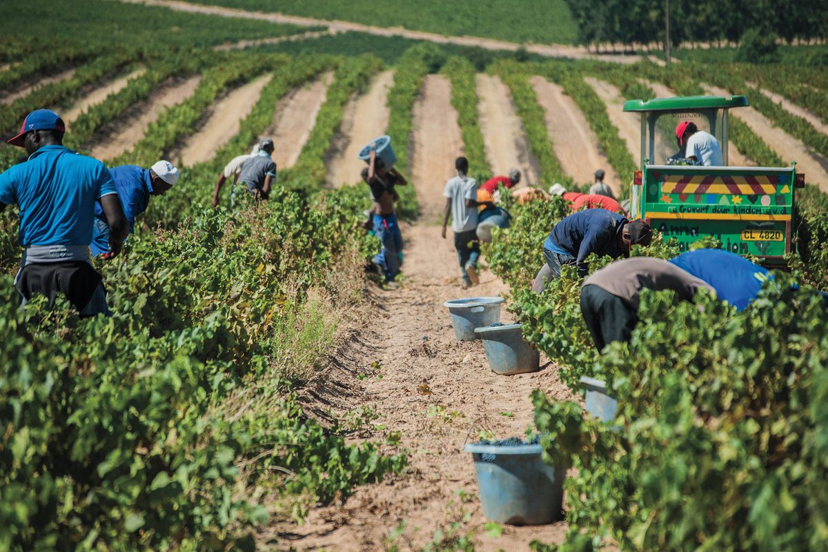 kofi_rawlings's tweet photo. "If you want it done right, do it yourself" is a common saying, but don't be fooled! If this were true, no farm business would ever be able to expand beyond a single person. 

Follow these simple rules to DELEGATE effectively: https://t.co/UOehPjI3SG