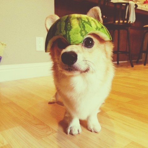 SmithBe11's tweet photo. nice cap https://t.co/XYqDBQXHUG