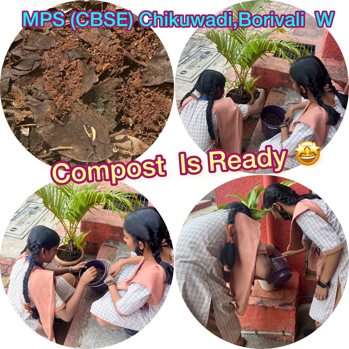 Thanks to Eco Club- माझी वसुंधरा # creating black Gold# Nurturing school Garden  ⁦<a href="/mybmcedu/">BMC Education Department</a>⁩ ⁦<a href="/rajeshkankal/">Rajesh Kankal</a>⁩ ⁦<a href="/rajuamirtadvi/">Raju Tadvi</a>⁩ ⁦<a href="/MaheshPalkar20/">Mahesh Palkar</a>⁩