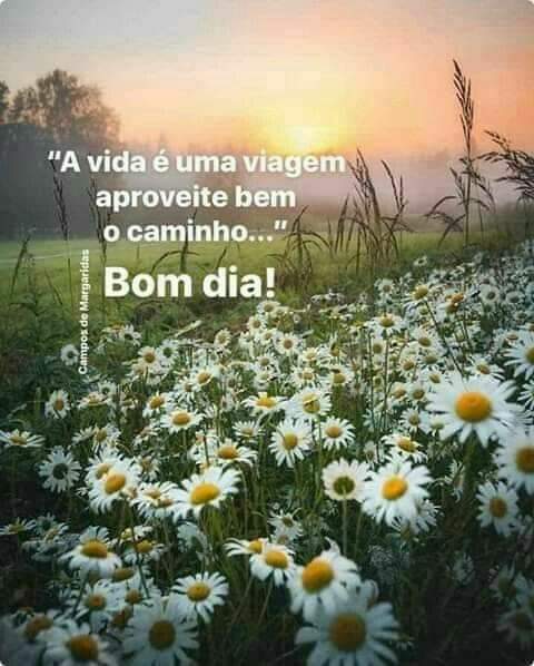 Catiane silva🇧🇷🇧🇷🇧🇷🇧🇷 on X: Bom dia amigos uma ótima