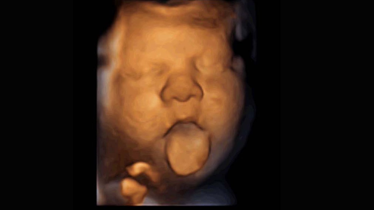 Babypod tweet media