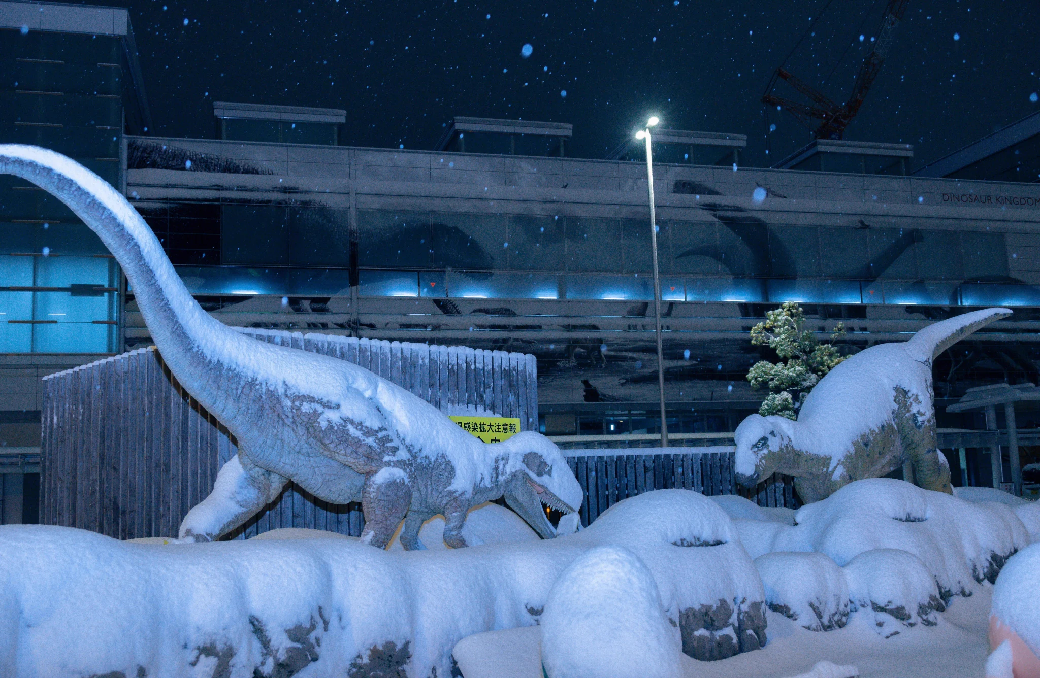 まるで氷河期！？福井駅前の雪景色が幻想的！