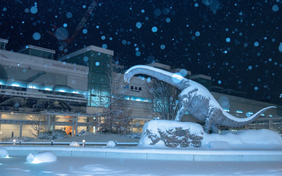 まるで氷河期！？福井駅前の雪景色が幻想的！
