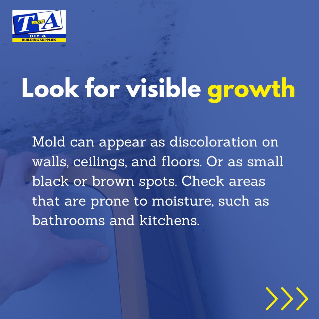 Don’t let mold sneak up on you in the cold weather! Our guide will help you to quickly spot mold in your home. If you find mold in your home, address it immediately. Prevent further damage and protect your health. #moldawareness #healthyhomes