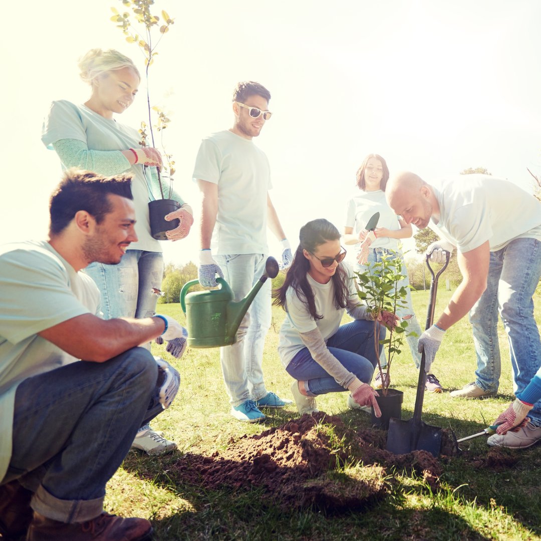 DevonCC's tweet photo. 🌲 We're looking for volunteers to plant native trees under The @WoodlandTrust's #EmergencyTreeFund with ParkLife SW!
The planting schemes aim to increase biodiversity and replace trees lost through ash dieback.
Sign up here 👉 https://t.co/tTrcboywBu https://t.co/Y4ebb73yQx
