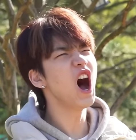 raura🐯n.SSign.한준 on Twitter: "誰の目が 朝マカロンだってー!? #nSSign #엔싸인 #Kpop #