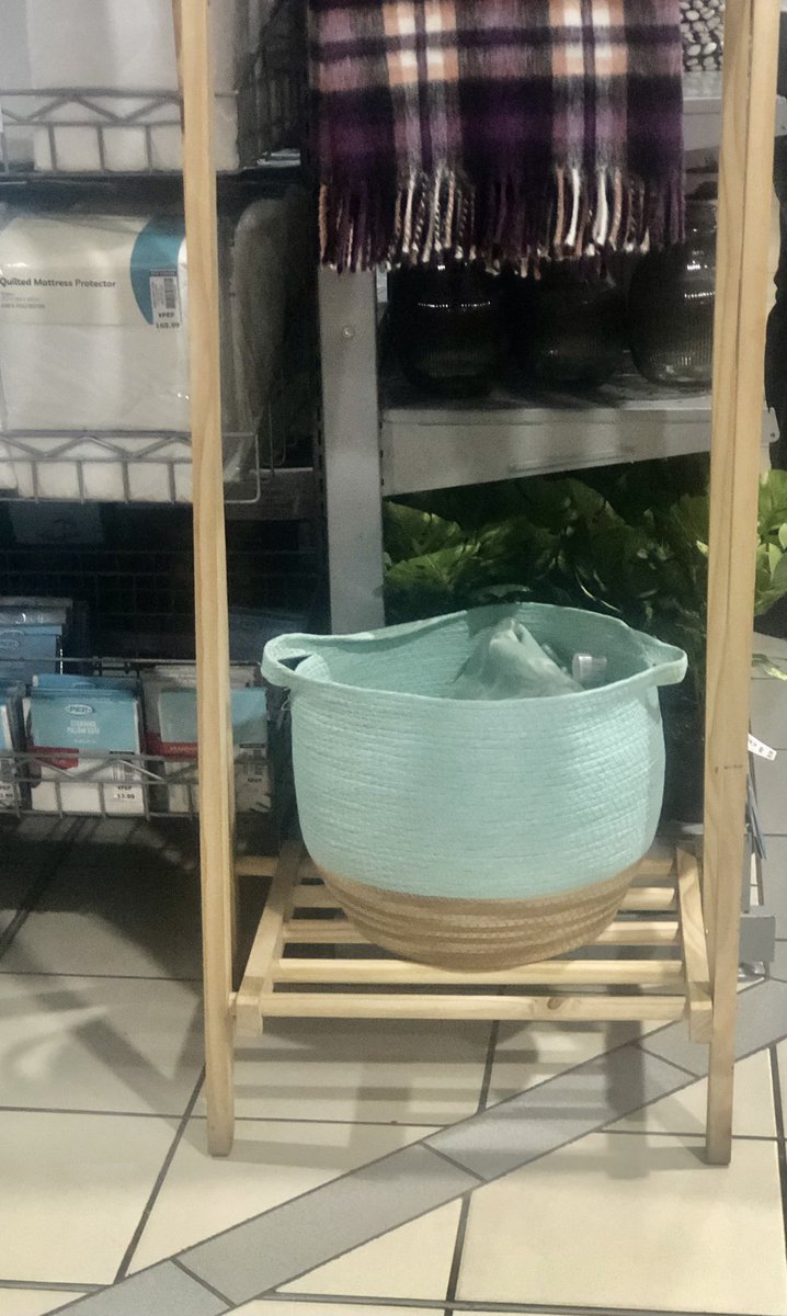 GraceLavished12's tweet photo. Pep Home has such stylish and necessary items for the home at great value 😍 #PepHome https://t.co/5mRpyvqbej