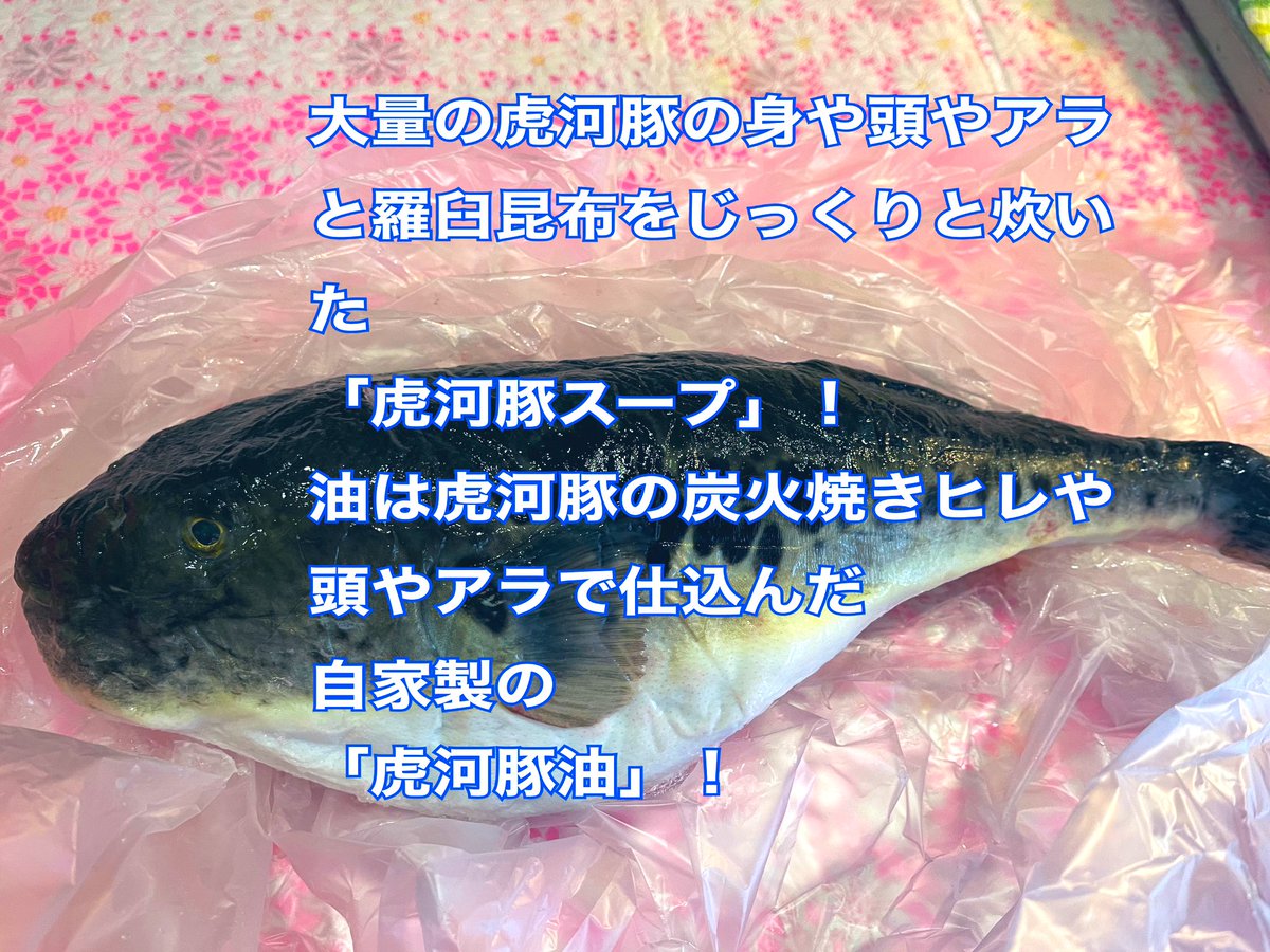 ﾊｲﾃﾞﾝ.ｺｯｺFACTORY ら-めん凛々（ﾘﾘ） on Twitter: "25日（水） ️ 【昼夜ﾉ営業日】 久々に長崎県から虎河豚