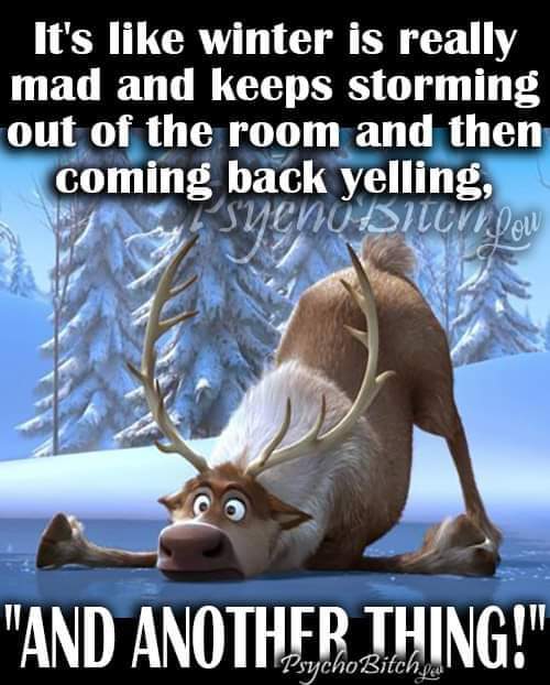 gypsysw's tweet photo. 🤣🤣🤣
Winter storm warning here in OK Yesterday felt like spring . https://t.co/awYT4ZF8wT