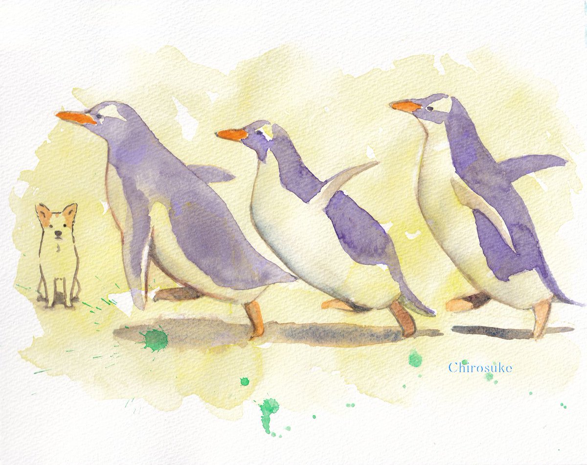 「もっとペンギンを描きたい 」|ちろ助のイラスト