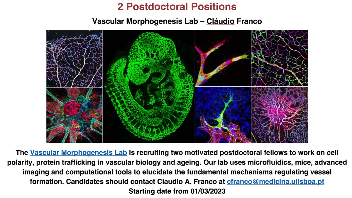 We are looking for postdocs to join our team! 
(please help spread the word).