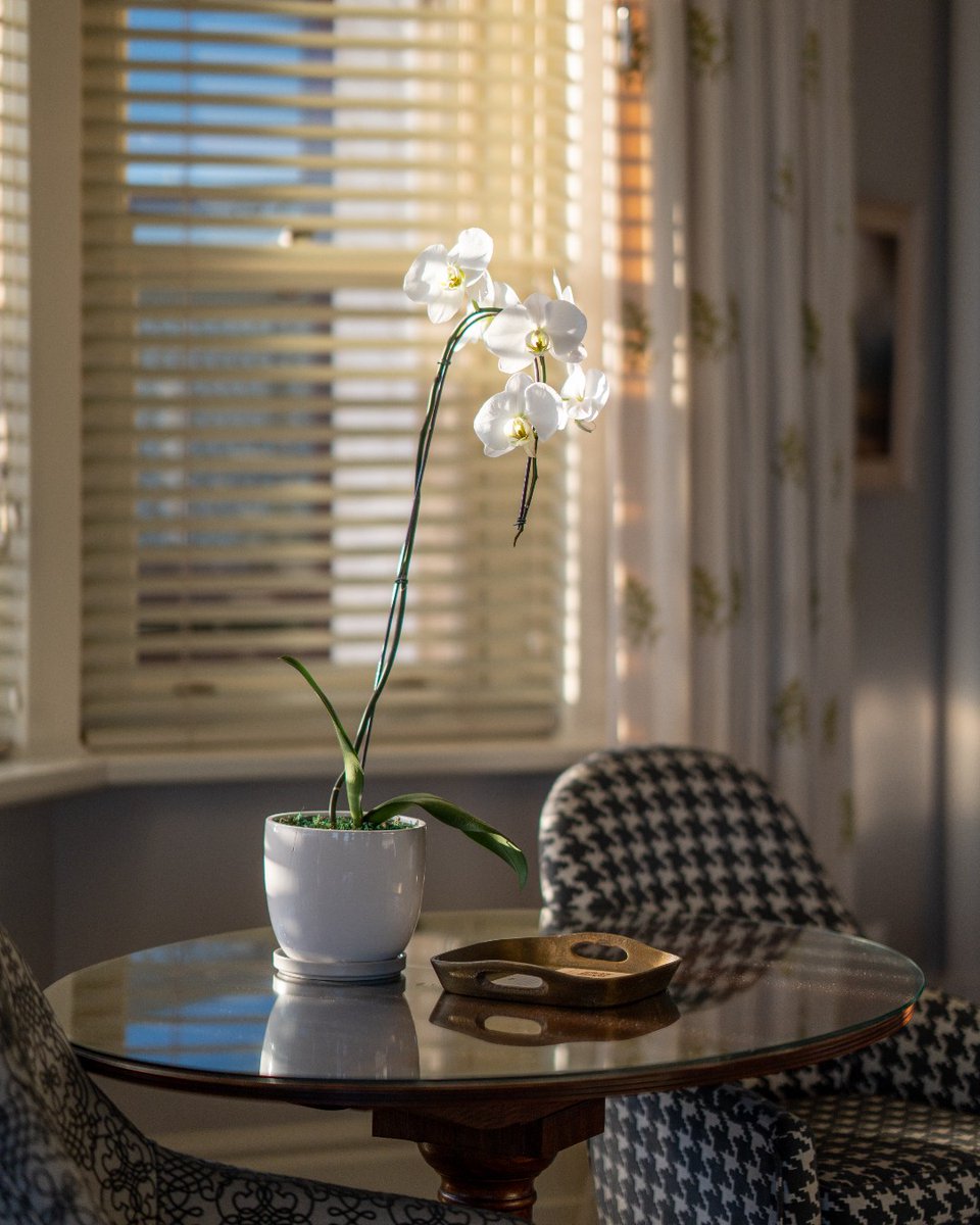 Ellerman House tweet media