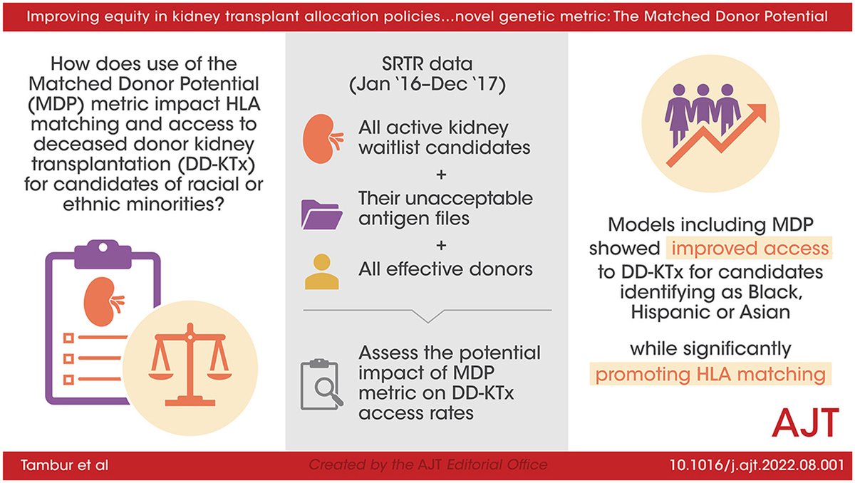 Original Article by Tambur et al, “Improving equity in kidney transplant allocation policies through a novel genetic metric: The Matched Donor Potential” doi.org/10.1016/j.ajt.…