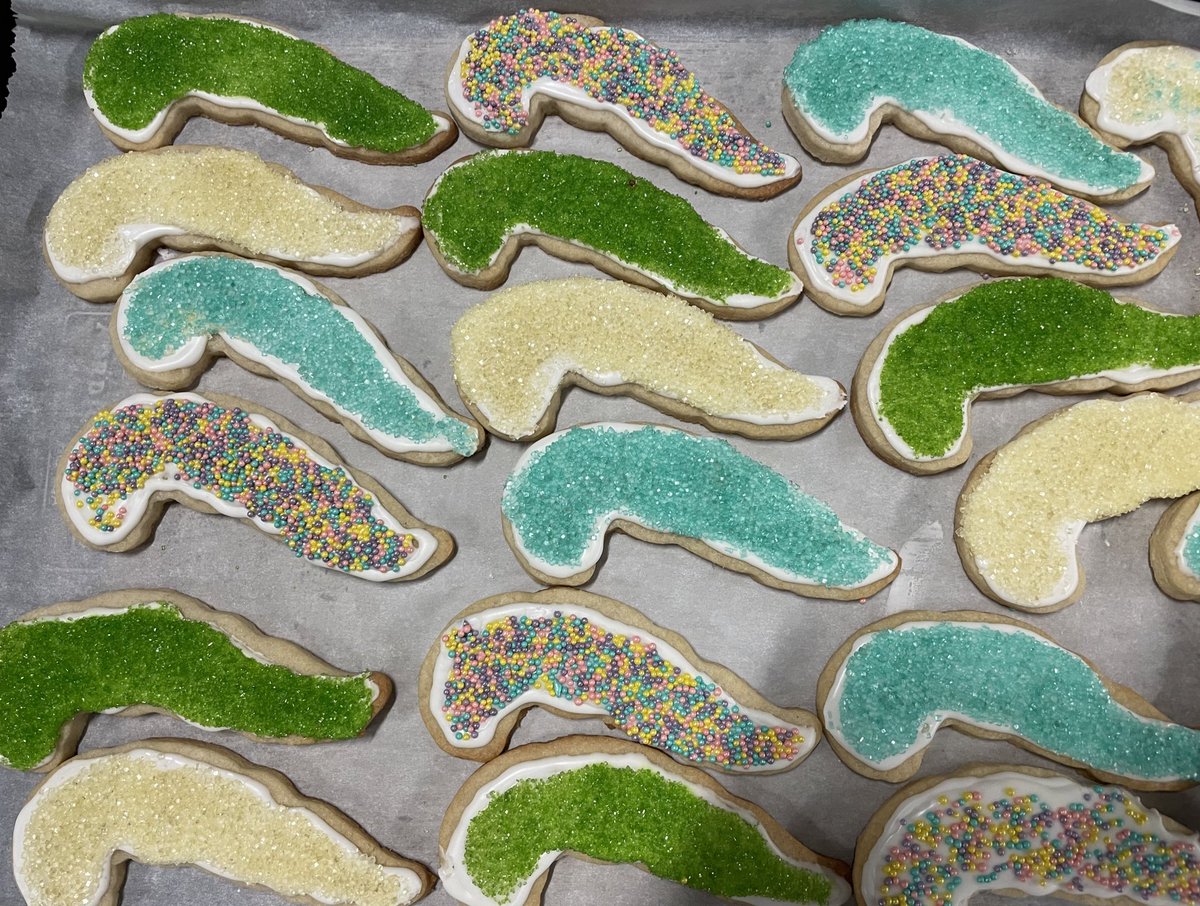 DrEmmaHolliday's tweet photo. Did you know the plural of pancreas is pancreata? 🧐

Here are some pancreata in cookie form to celebrate pancreas week for our #radonc residents @MDAndersonNews. @BenjaminSchrank gave an excellent talk with faculty input from @TaniguchiMD https://t.co/gyRmPSmhEg