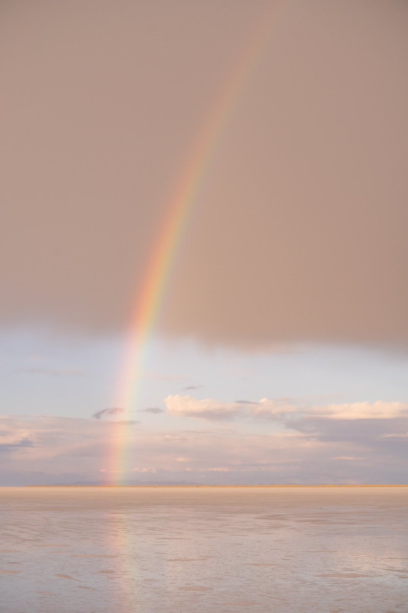 danielle tweet media