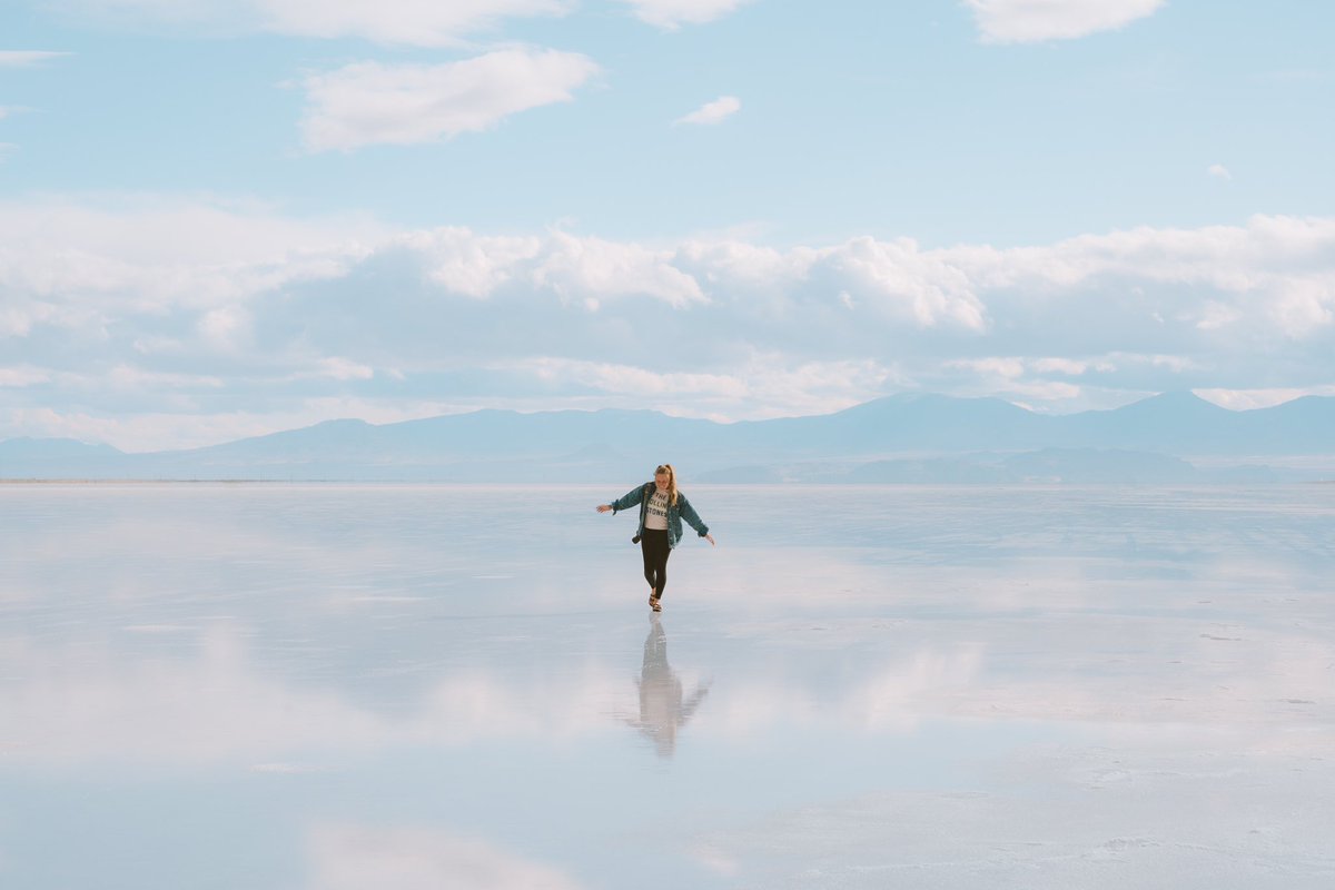 danielle tweet media