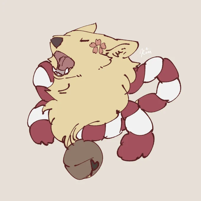 きなこっこ 