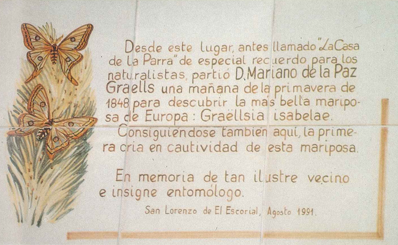 MNCN_Col's tweet photo. #TalDíaComoHoy en 1809 nació en Tricio (La Rioja) Mariano de la Paz #Graells. Fue uno de los zoólogos mas brillantes del siglo XIX. Dirigió el #MNCN y describió numerosas especies de #insectos, como la mariposa isabelina. #HistoriaCiencia #Zoología #Entomología #Lepidópteros https://t.co/iubnSPGO1k