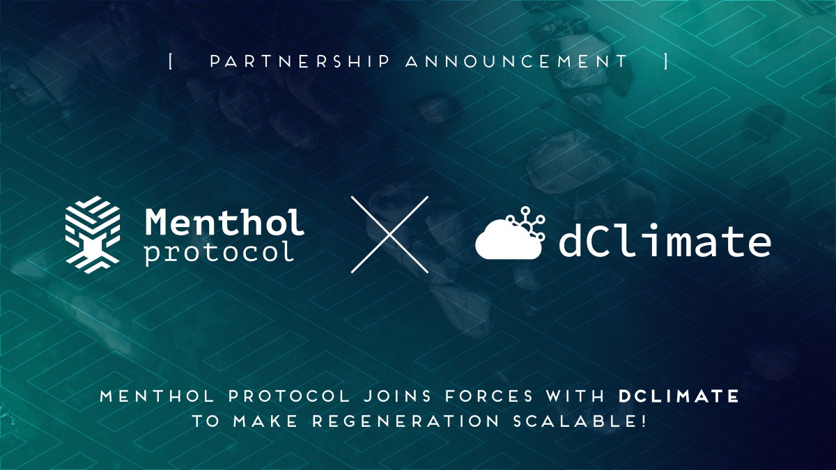 Menthol Protocol🌍 tweet media
