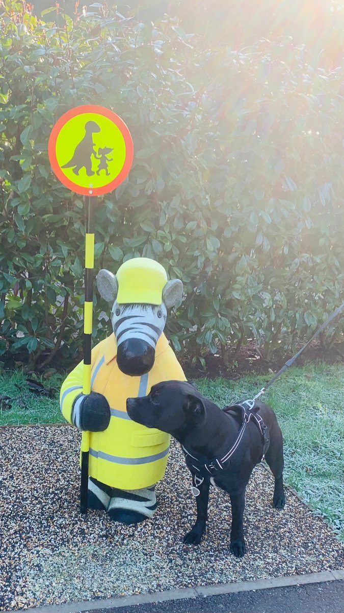 JulesAllenxx's tweet image. I was really listening to the #greencrosscode #safelycrosstheroad