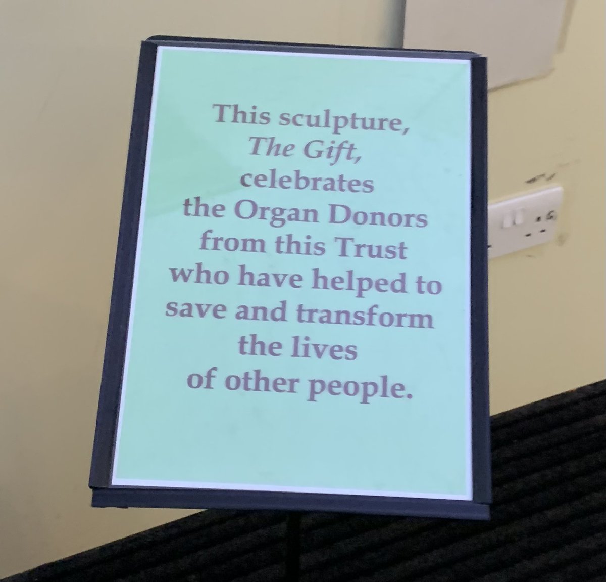 I've walked passed this sculpture in St Richard's Hospital in Chichester so many times recently, albeit for a different reason, but it's sentiment remains so powerful to us. To quote Phillip Larkin 'What will survive of us is love.' #kidneydonation