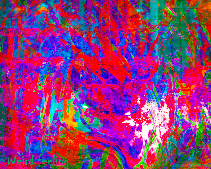 PhiloThilo's tweet photo. Weird feeling
PhiloThilo 24/01/2023
#digitalart #weirdfeeling #philothilo https://t.co/xCC7rNNadh