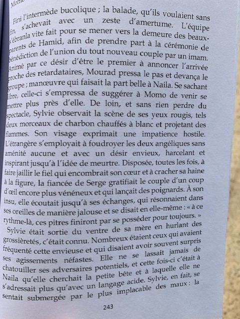De mon roman : Du Mektoub à la Destinée !