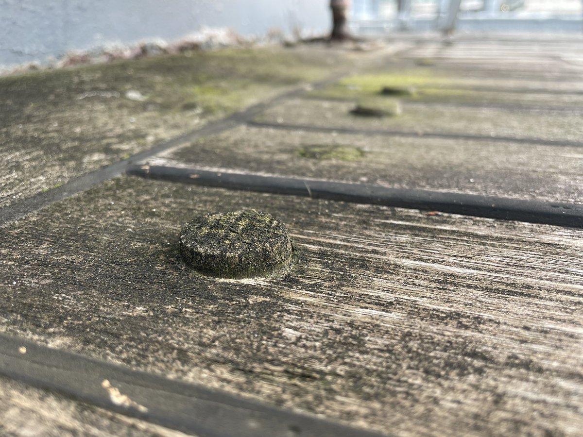 Even a deck has a lot to offer outdoor education! What could you teach with this?