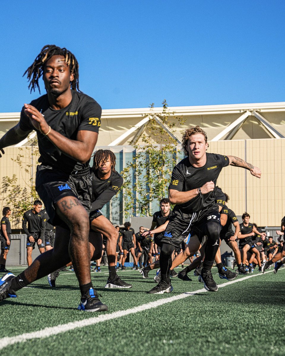 The Standard. #GoBruins