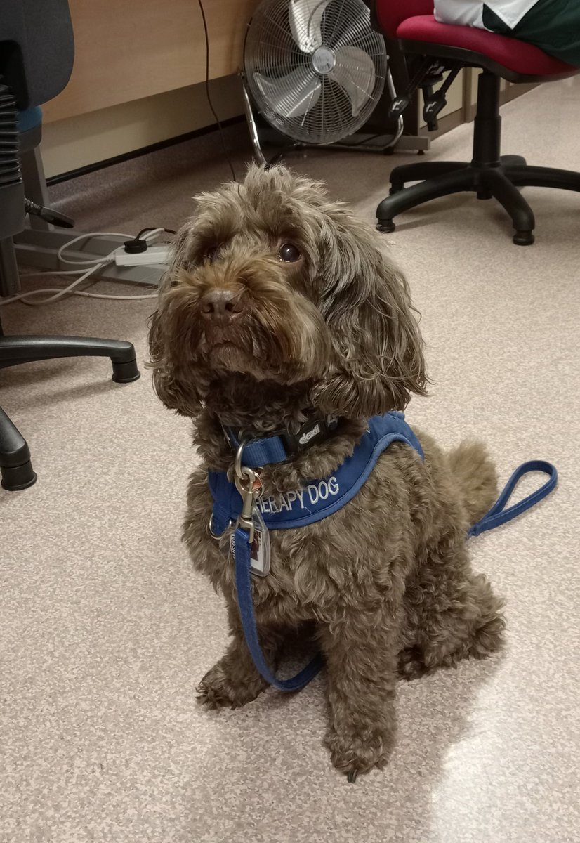 Medical Therapies CDH tweet media