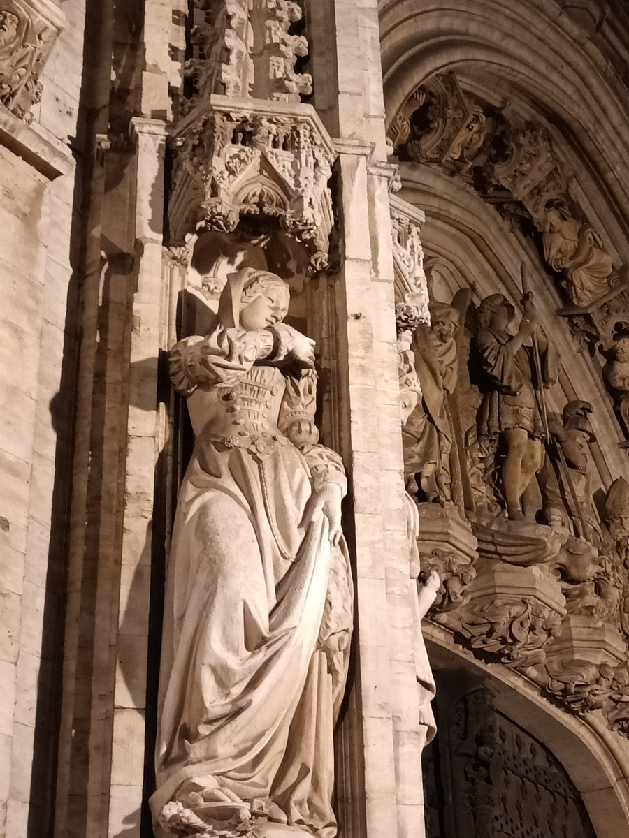 J'ai rencontré une de ces beautés en me baladant sur la Grand Place ✨🤩✨