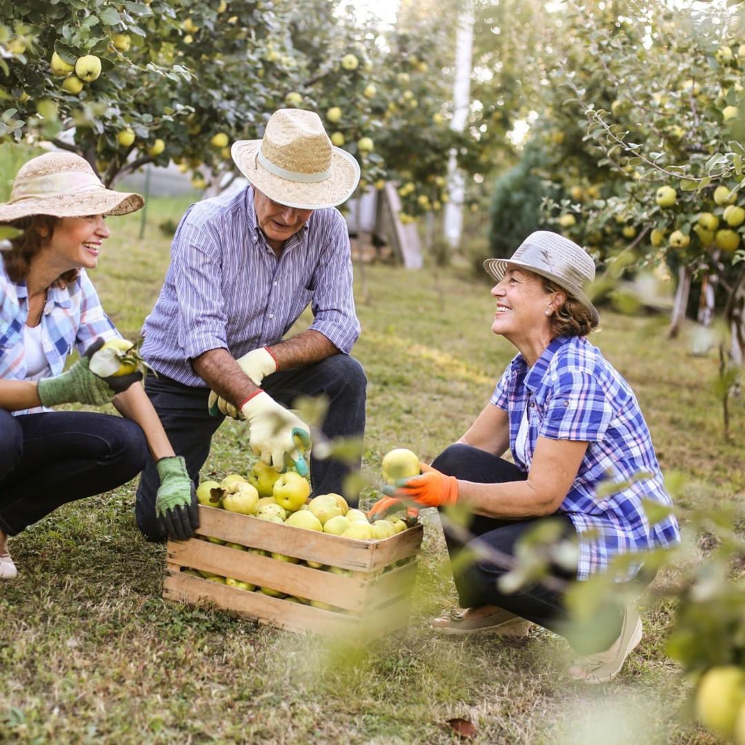 How can your donation make a difference for a family in need? 🍎🍎

Your generosity will ensure we can help support families by creating agripreneurial opportunities and turning financial freedom dreams into a reality. Let’s grow towards a bright future together.