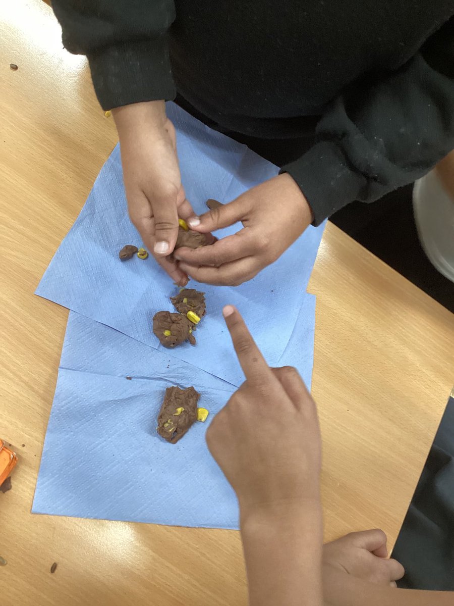 shakespearepact's tweet photo. Year 2 took part in a ‘Play-doh Poop’ investigation today! They had to look at the samples and identify whether they belonged to a carnivore, herbivore or omnivore. They then had to explain their reasoning like a scientist! https://t.co/Os4jZvYrsG
