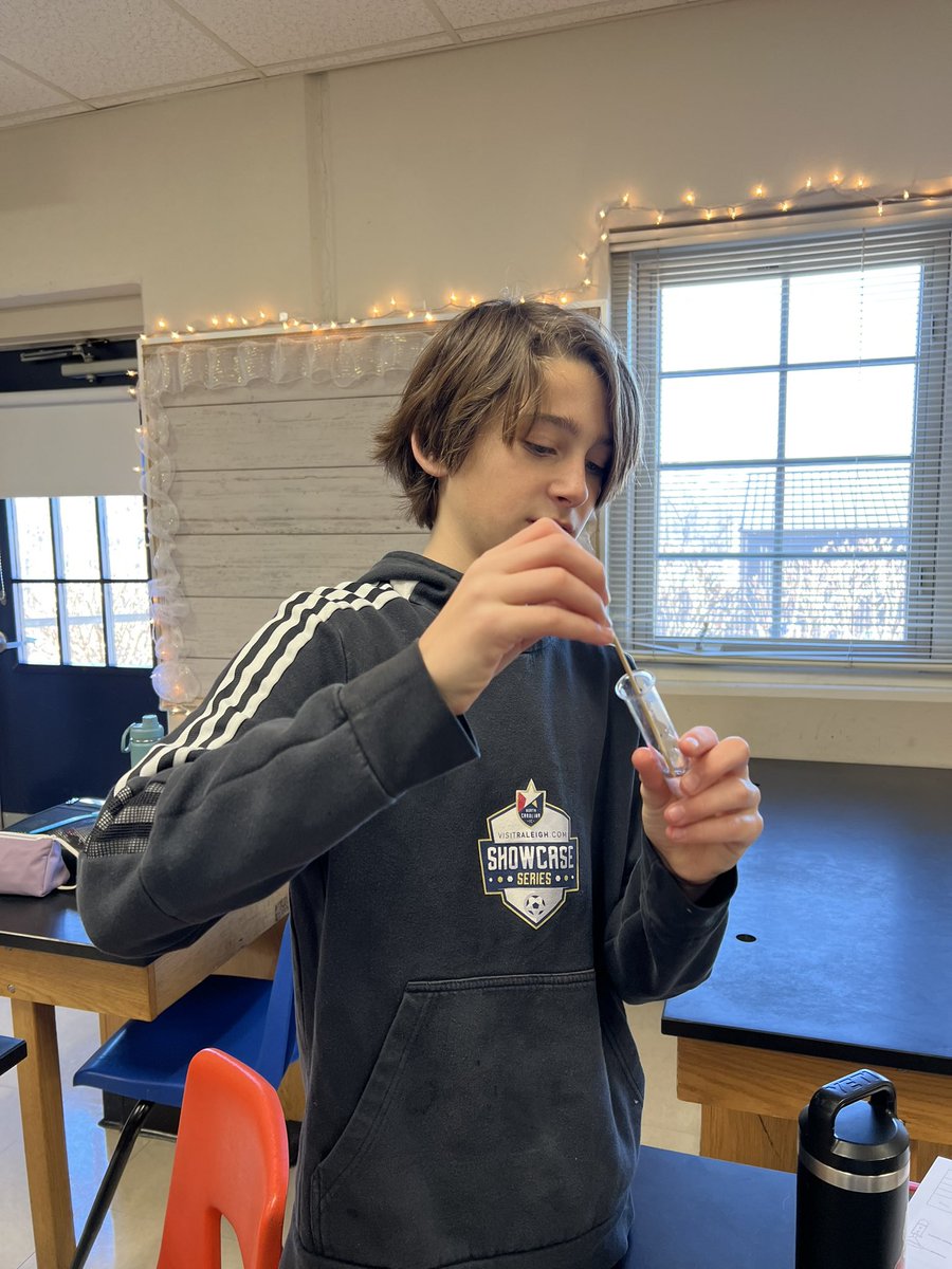 WCDS_Science's tweet photo. #WCDSGrade7 students extracted DNA from strawberries and bananas this week in the lab. They have been learning about DNA structure and function so this was the sweetest lab to compliment that! #WCDSScience #WCDSMiddleSchool https://t.co/lGqTgTnwHV