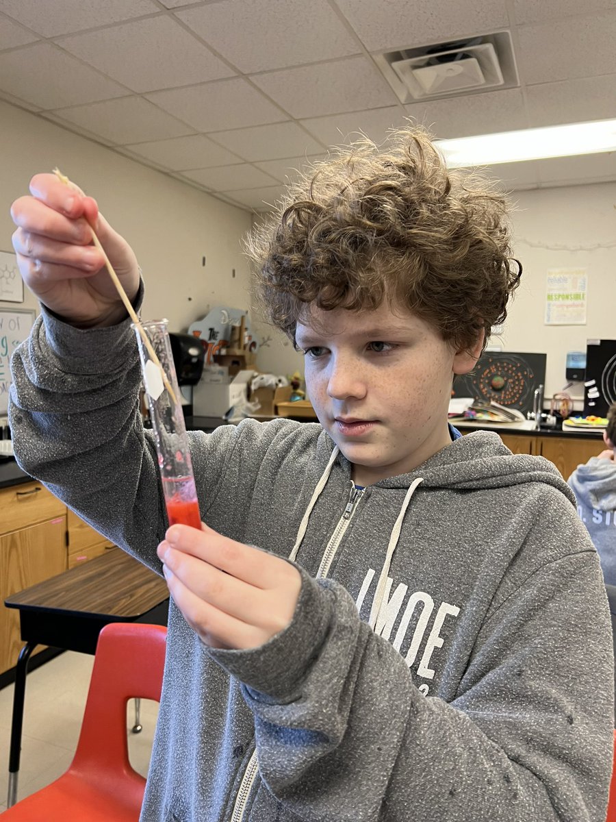 WCDS_Science's tweet photo. #WCDSGrade7 students extracted DNA from strawberries and bananas this week in the lab. They have been learning about DNA structure and function so this was the sweetest lab to compliment that! #WCDSScience #WCDSMiddleSchool https://t.co/lGqTgTnwHV