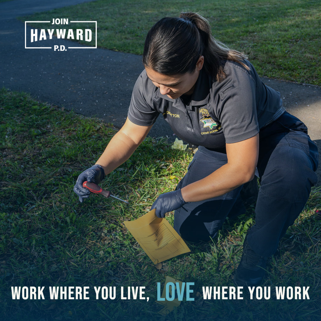 Discover a new career path with Hayward PD. With endless options, the opportunities are limitless. Visit joinhaywardpd.com to learn more. #JoinHaywardPD #HaywardPD #HaywardCA #HaywardPolice #HaywardPoliceJobs