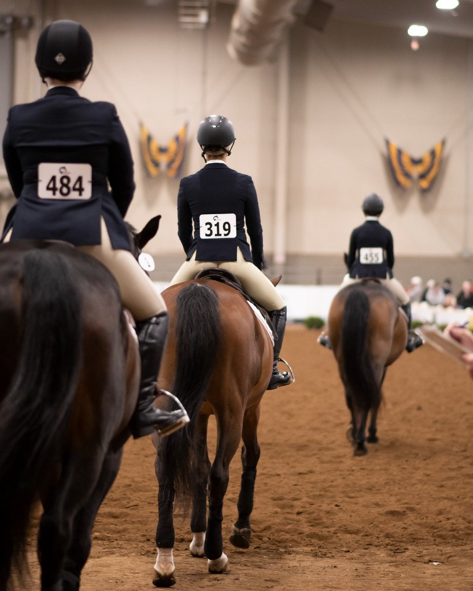 T-100 days till we're back to this! The countdown to Nationals continues and we can't help but be on the edge of our seats. See you there 😉

#RideIHSA #IHSAStrong #NationalFinals #CollegiateRiding
📸: Tessa Wrice/Maddy Falkowitz