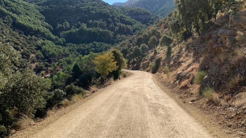 MedioAmbAND's tweet image. La @AndaluciaJunta acelera la #RevoluciónVerde en la provincia de #Jaén con una inversión de 27,8 millones.

Cerca de la mitad del presupuesto está destinado a proyectos en materia forestal como la mejora de caminos y tratamientos selvícolas.

Más info➡️ opgob.es/02lfk