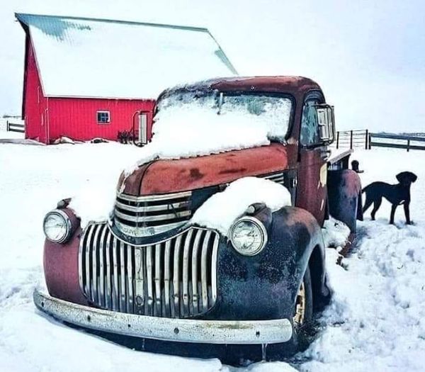 JoyNealKidney's tweet photo. Still snowy in Iowa. May as well celebrate it. (A Joe Kenney photo)
#winteriniowa #snow #midwestwinter #ruraliowa https://t.co/i6FU7inToA