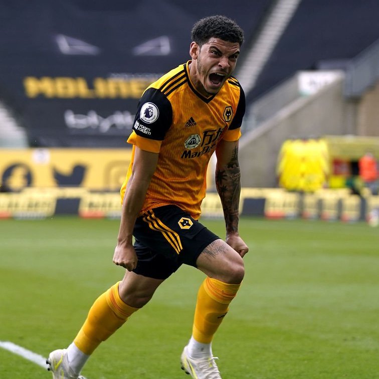 🐺 WeAreWolves 🐺 tweet media