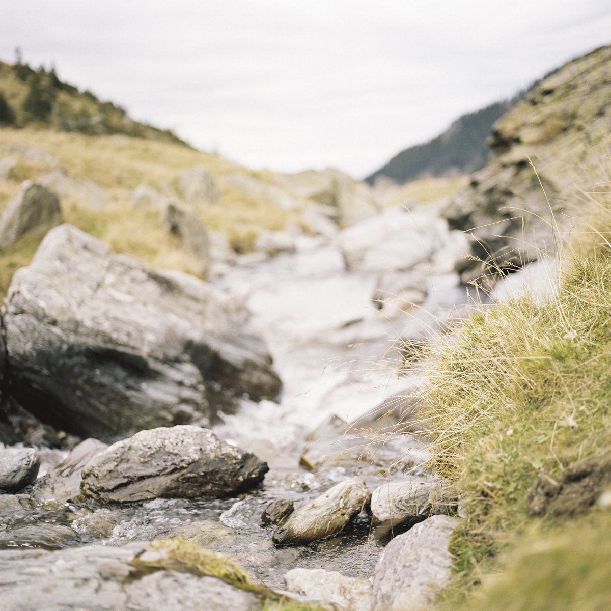 LorantPandea's tweet photo. Transfagarasan 🚧

#hasselblad #kodak #transylvania https://t.co/ePjwMwq2sS