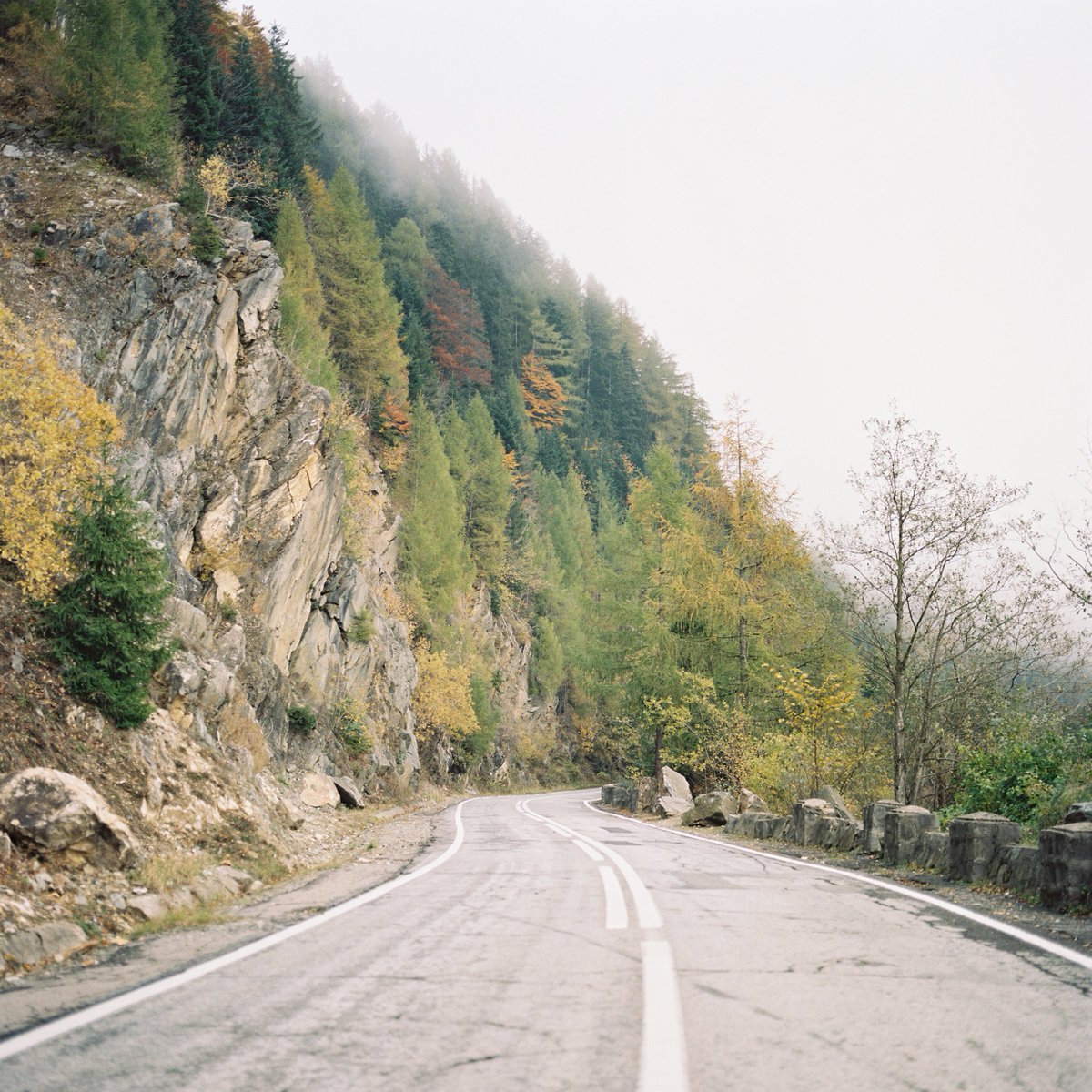 LorantPandea's tweet photo. Transfagarasan 🚧

#hasselblad #kodak #transylvania https://t.co/ePjwMwq2sS