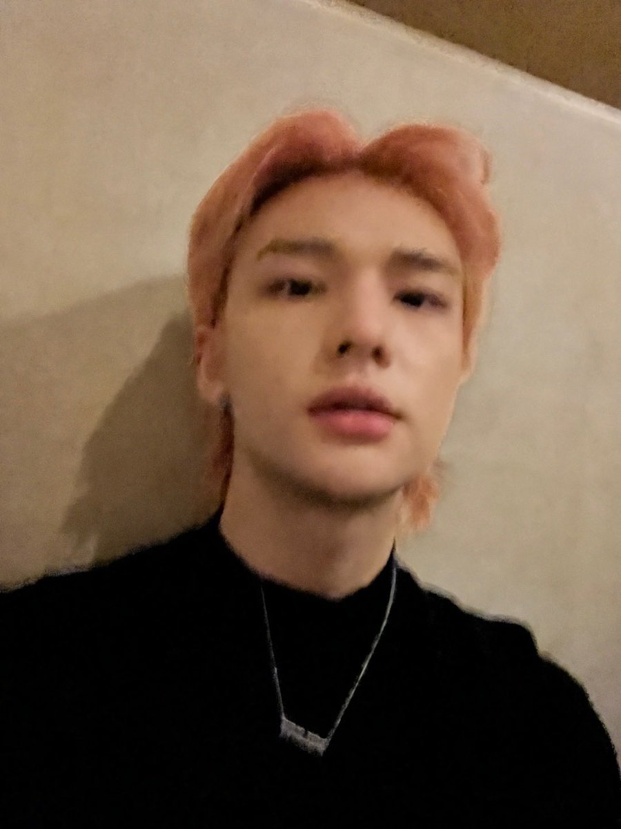 skzwithstay8's tweet photo. 🥟- 🌱
[240123] 8:34-8:35 PM KST

*SELFIES https://t.co/daVos6dPzH