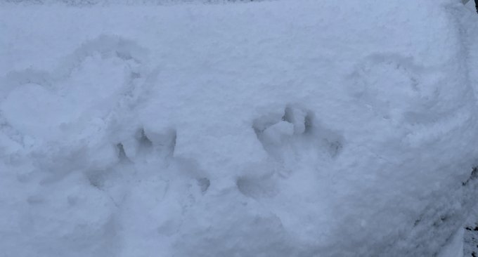 Twitterのコスプレ画像14