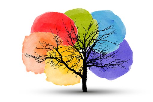 Diversity & Inclusion ECT tweet media