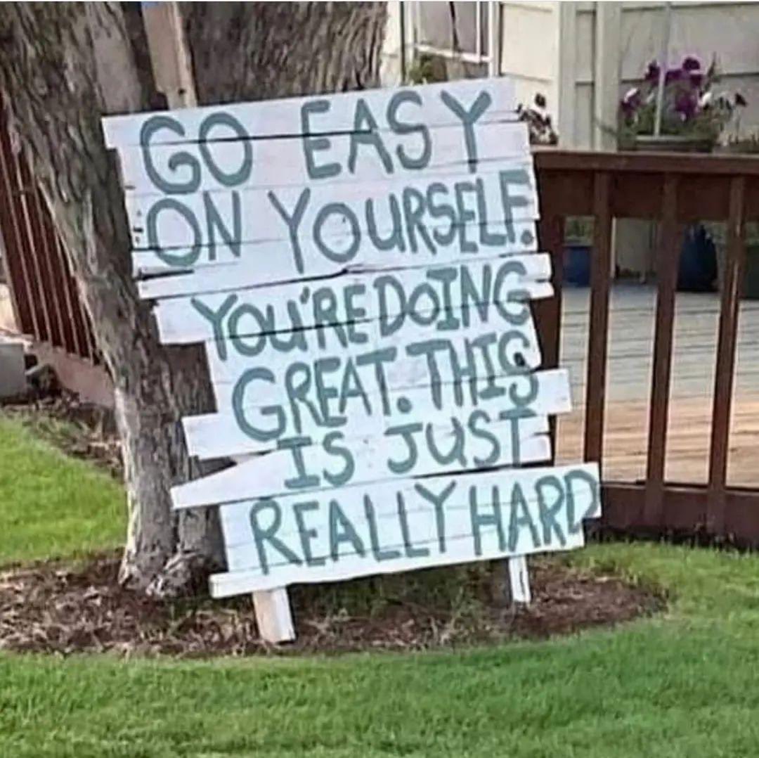 MrsCarp324's tweet photo. On days you don’t reach your goals, remind yourself that tomorrow is a new opportunity. I know it’s easy to just give up entirely, but each day is a new day. You’ve got this. https://t.co/heQ3l3J2kv
