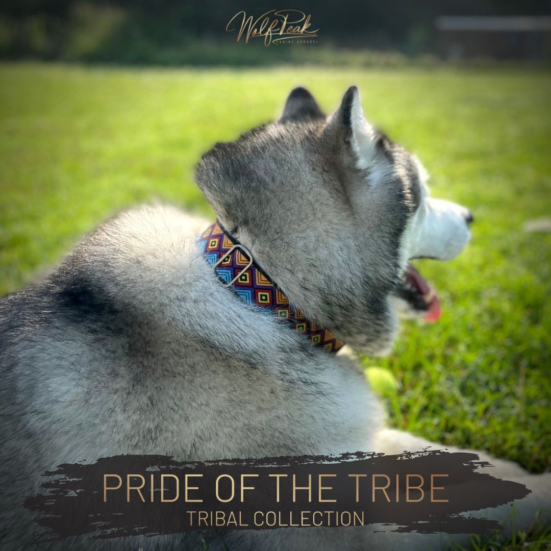 TᕼE GOOᗪ ᐯET & ᑭET GᑌIᗪE 🐾 Pet Directory on Twitter "Wolf Peak 