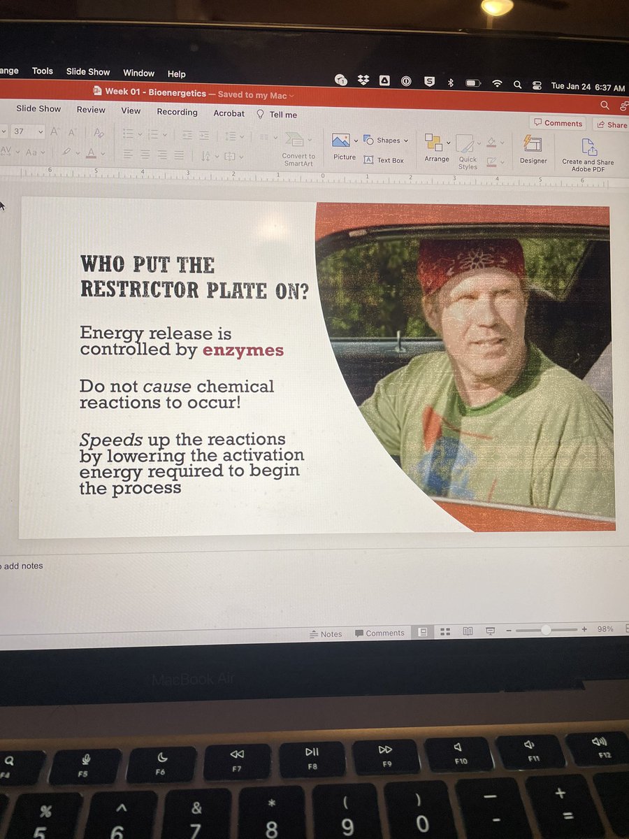 Adam Feit tweet media