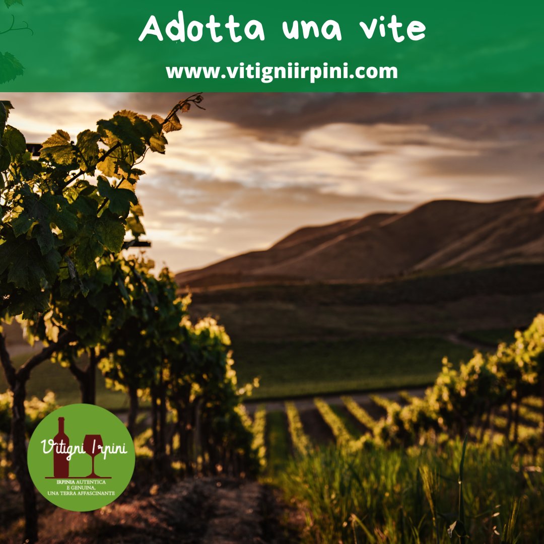 Per San Valentino "Adotta una vite", fai contento la tua dolce metà con un regalo personalizzato
.
.
Scopri il pacchetto sul nostro sito ufficiale vitigniirpini.com 

#vitigniirpini #adottaunavite #beviirpino #enoturismo #winetour #turismo #turismoenogastronomico #viaggi